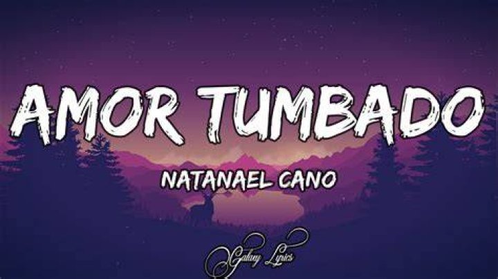 A Deep Dive into "Amor Tumbado Lyrics English" and Its Meaning