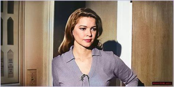 Suzanne Gibson: A Comprehensive Look at Her Life and Career